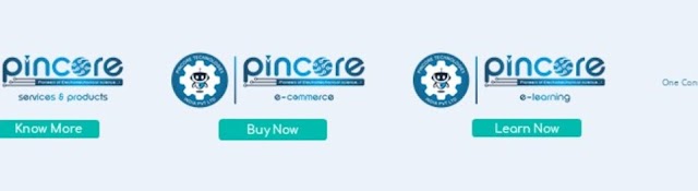 Pincore Technologies