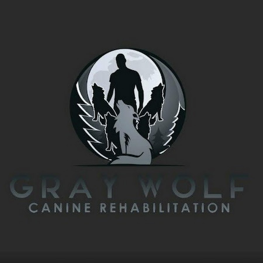 Maurice (Gray Wolf Canine Rehab)