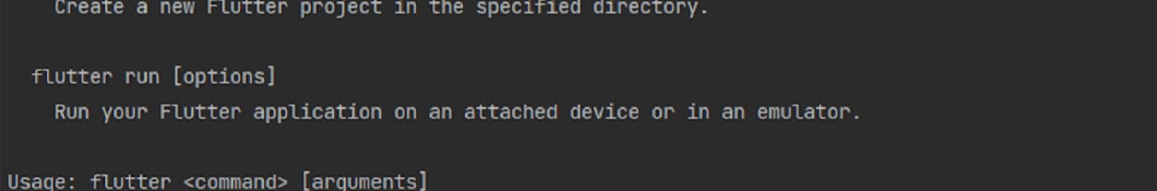 flutter --help