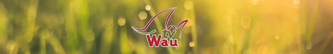 TV Wau Banner