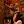 mikywoodz avatar