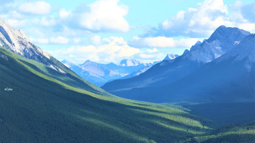Banner image of Lvfree Adventures