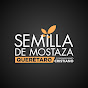 Semilla de mostaza Querétaro