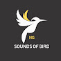 SOUNDS OF BIRD