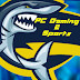 PC Gaming & Sports