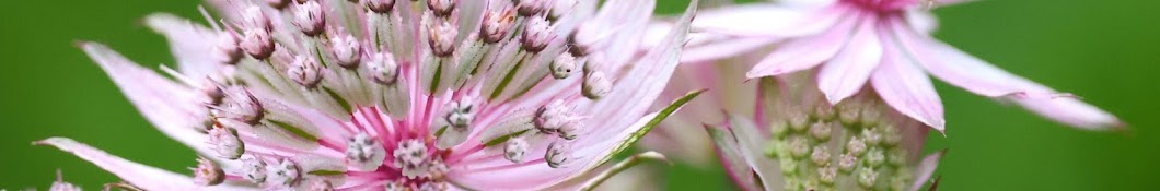 The Lady Gardener