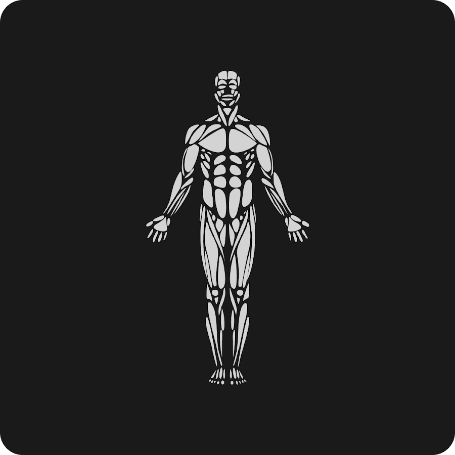 OMNI P-rehab | Exercise, Anatomy & Movement