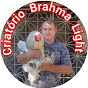 Criatório Brahma Light Alex Colatino 