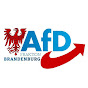 AfD-Fraktion Brandenburg