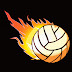 VolleyAces