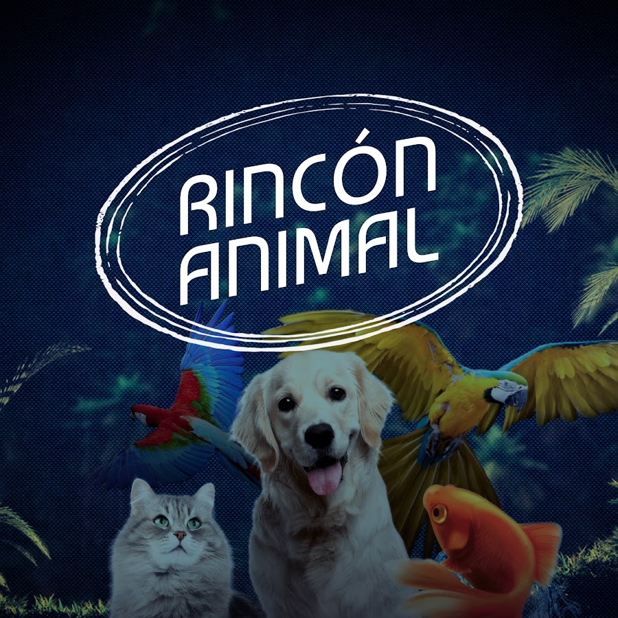 Rincon Animal