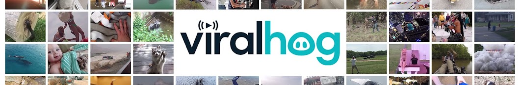 ViralHog Banner