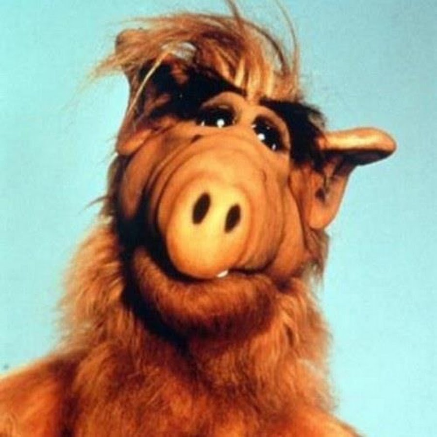 <b>ALF</b> PACH - YouTube.