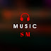 logo MUSIC STORM