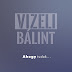 Vizeli Bálint - Topic