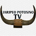 JARIPEO POTOSINO TV