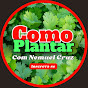 COMO PLANTAR com Nemuel Cruz