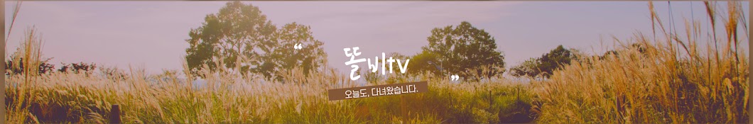 똘비TV