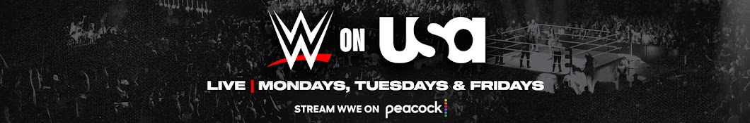 WWE on USA Banner