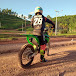 Ricardo Sartori #28 Kx250f