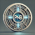 PNB Insight