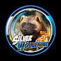 Silver Wolverine