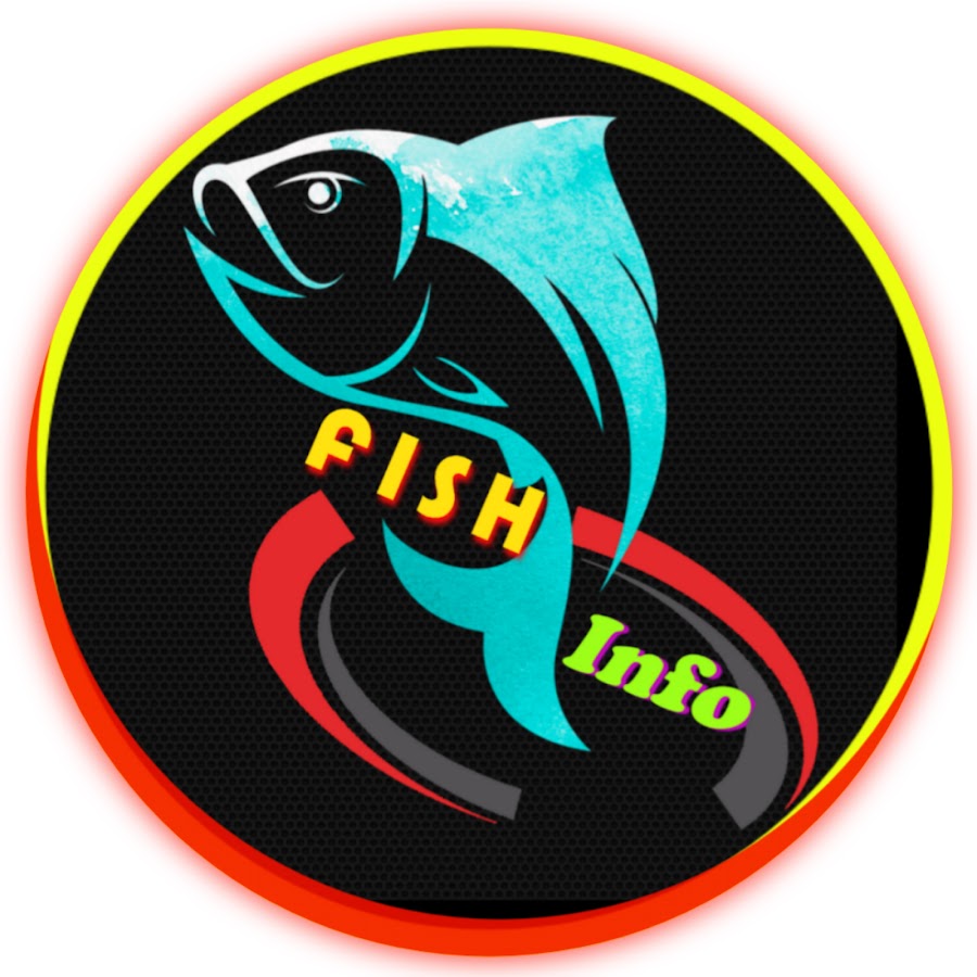 Infos – Fishea