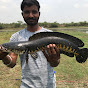 Tamil Snakehead Angler