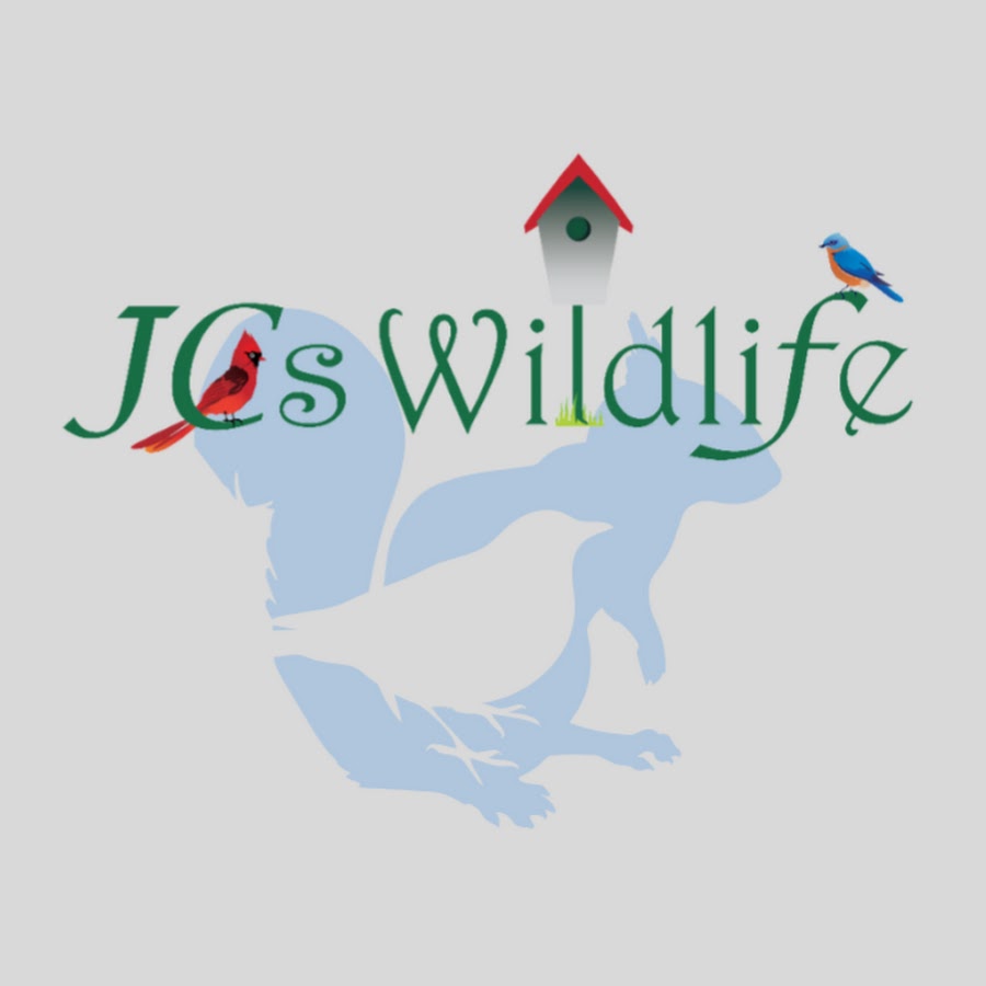 JCS Wildlife LLC