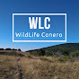 WildLife Conero