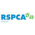 logo RSPCA Victoria