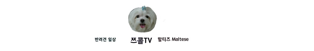 쯔콜TV