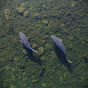 Wyreside Lakes Fishery and Campsite