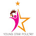 logo Young star poultry