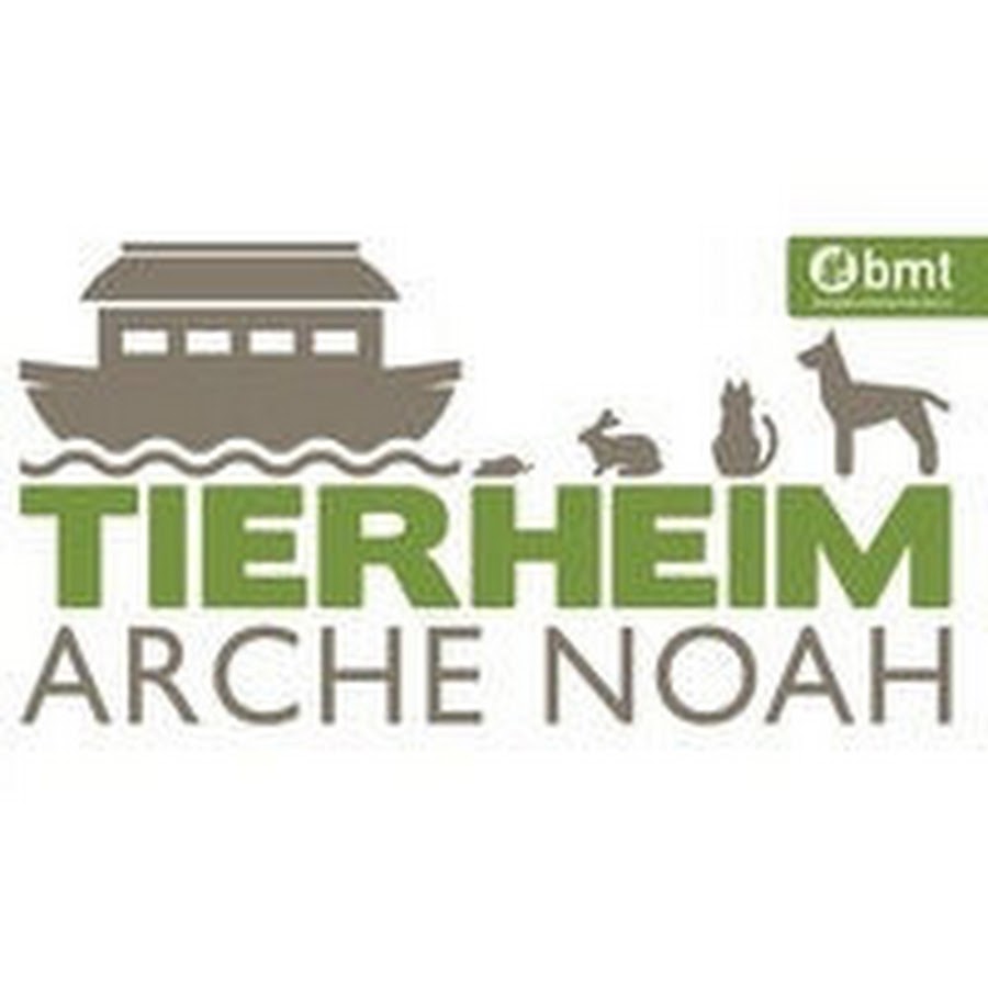 Tierheim Arche Noah YouTube