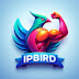 IP BIRD