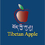 Tibetan Apple བོད་ཀྱི་ཀུ་ཤུ། 