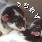 うちのねずみチャンネル