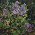 Artist Thumbnail