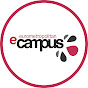 Eurometropolitan e-Campus