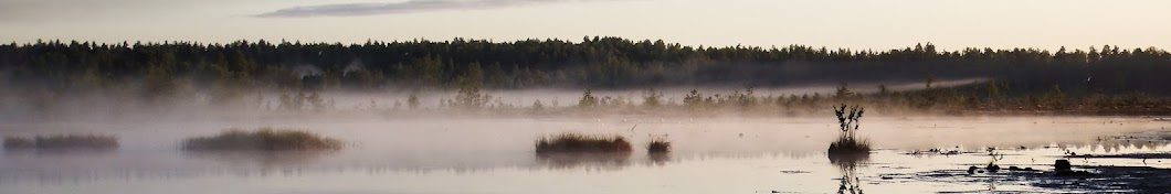 Moments in Latvia's nature