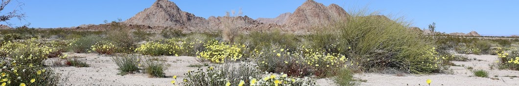 Mojave Desert Land Trust