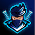 logo The Flutter Ninja