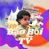 Bao Boi TOYS