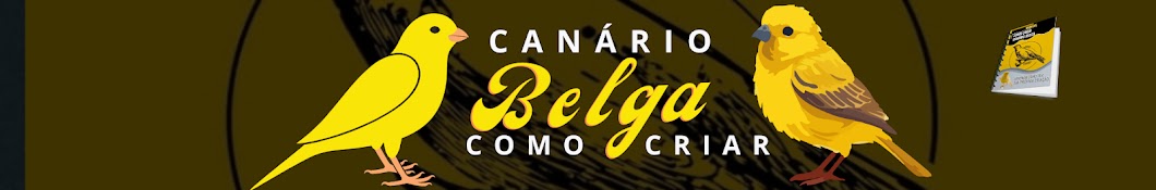 CANÁRIO BELGA COMO CRIAR