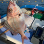 ハダタツの釣りチャンネル