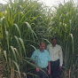  Om Prakash Singh Farming