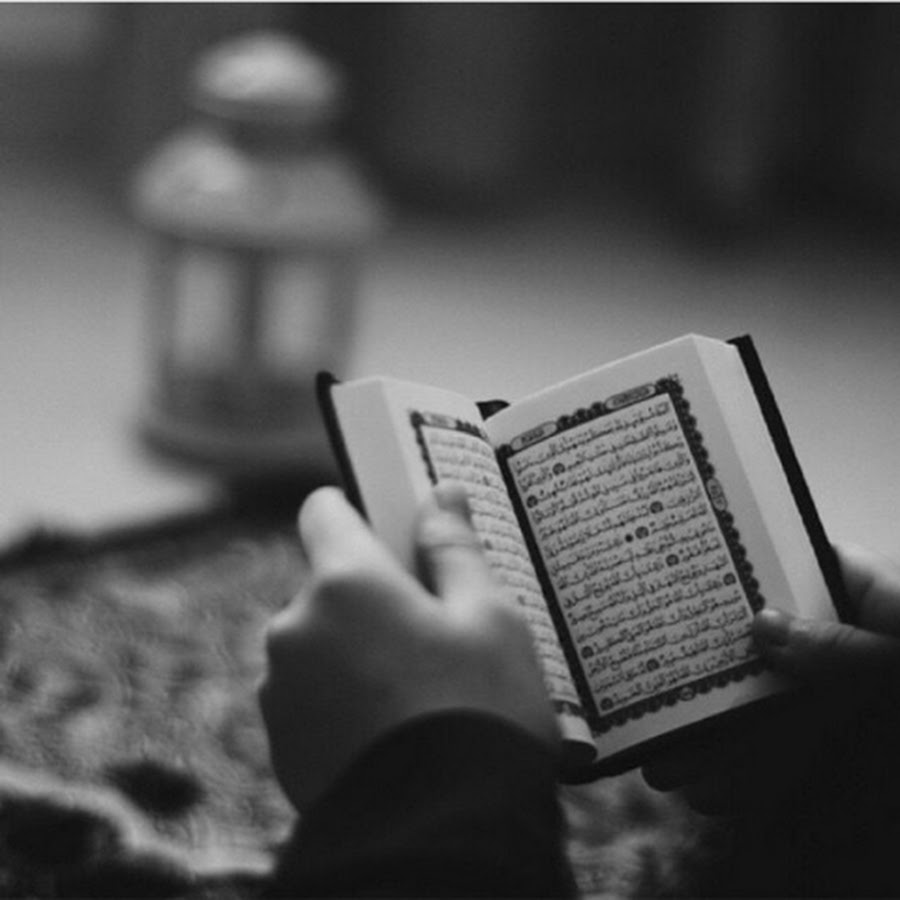 Высказывания с Корана