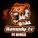 Hamody-tv