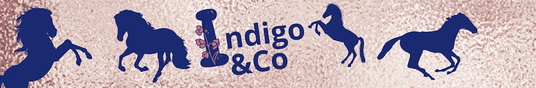 Indigo&Co